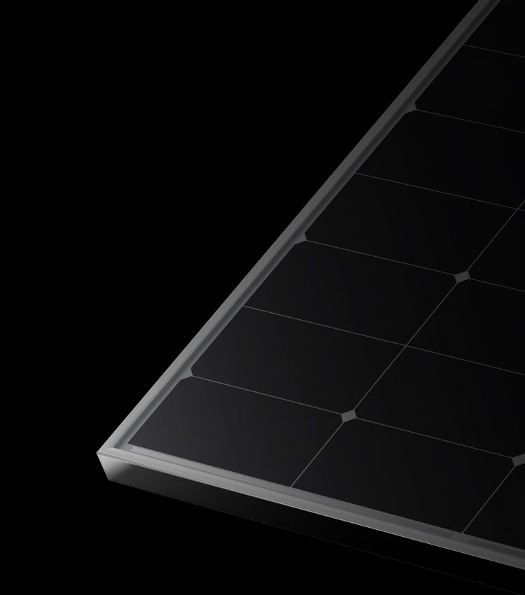 隆基乐叶450-455W