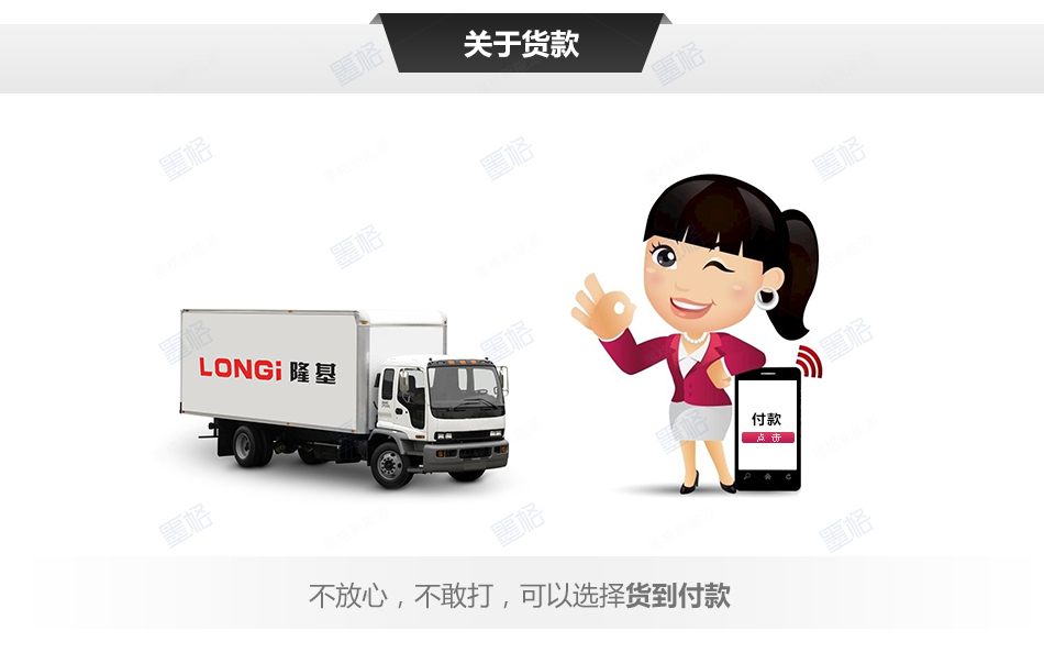 隆基300W瓦-双面发电-太阳能电池板-光伏组件-家用并网发电系统价格